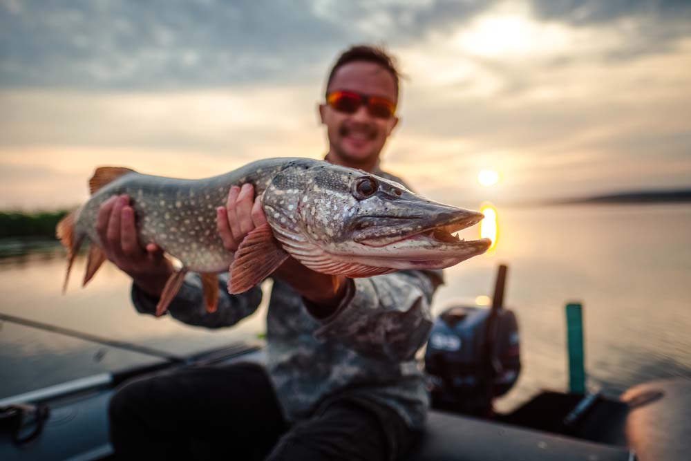 Man holding a large pike