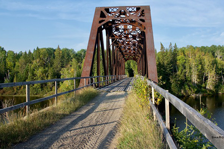 Bridge trail.