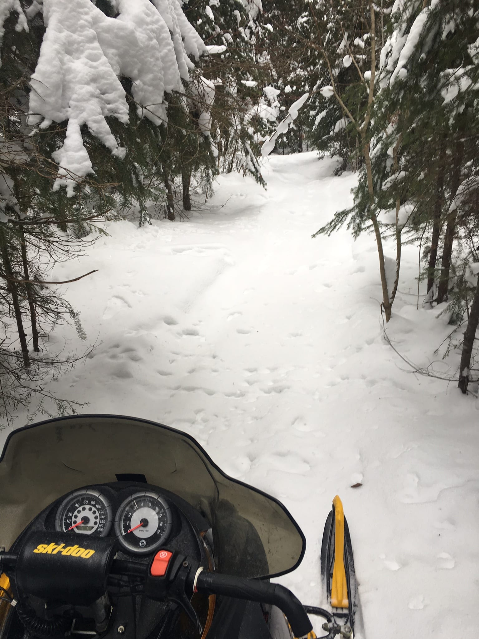 snowmobile on forest trail