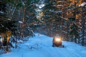 Snowmobiler on winter forest trail.